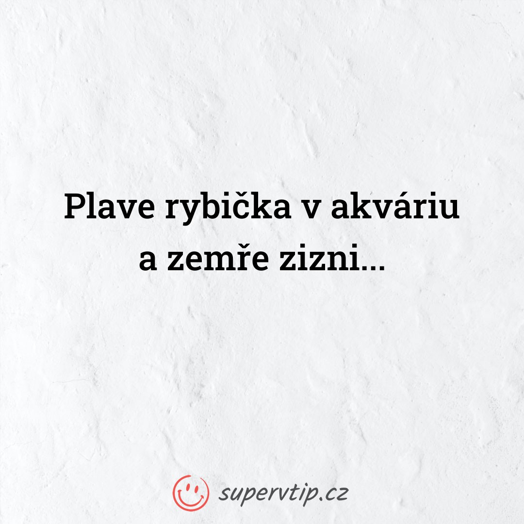 Vtip 3549 - supervtip.cz